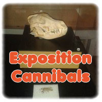 07 - Expo Cannibals
